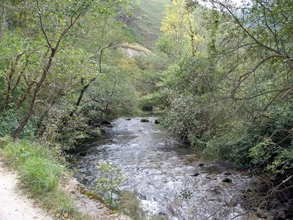Ruta del rio Puron