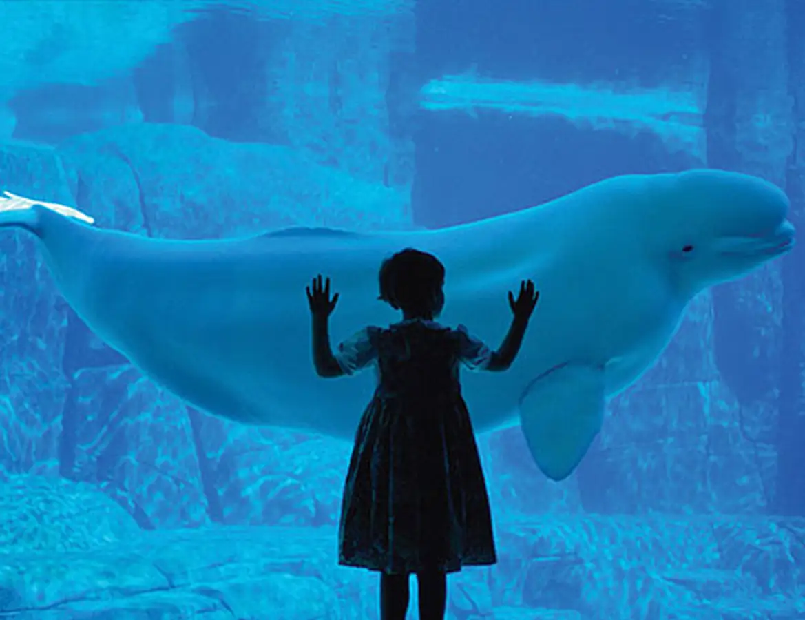 acuario gijon