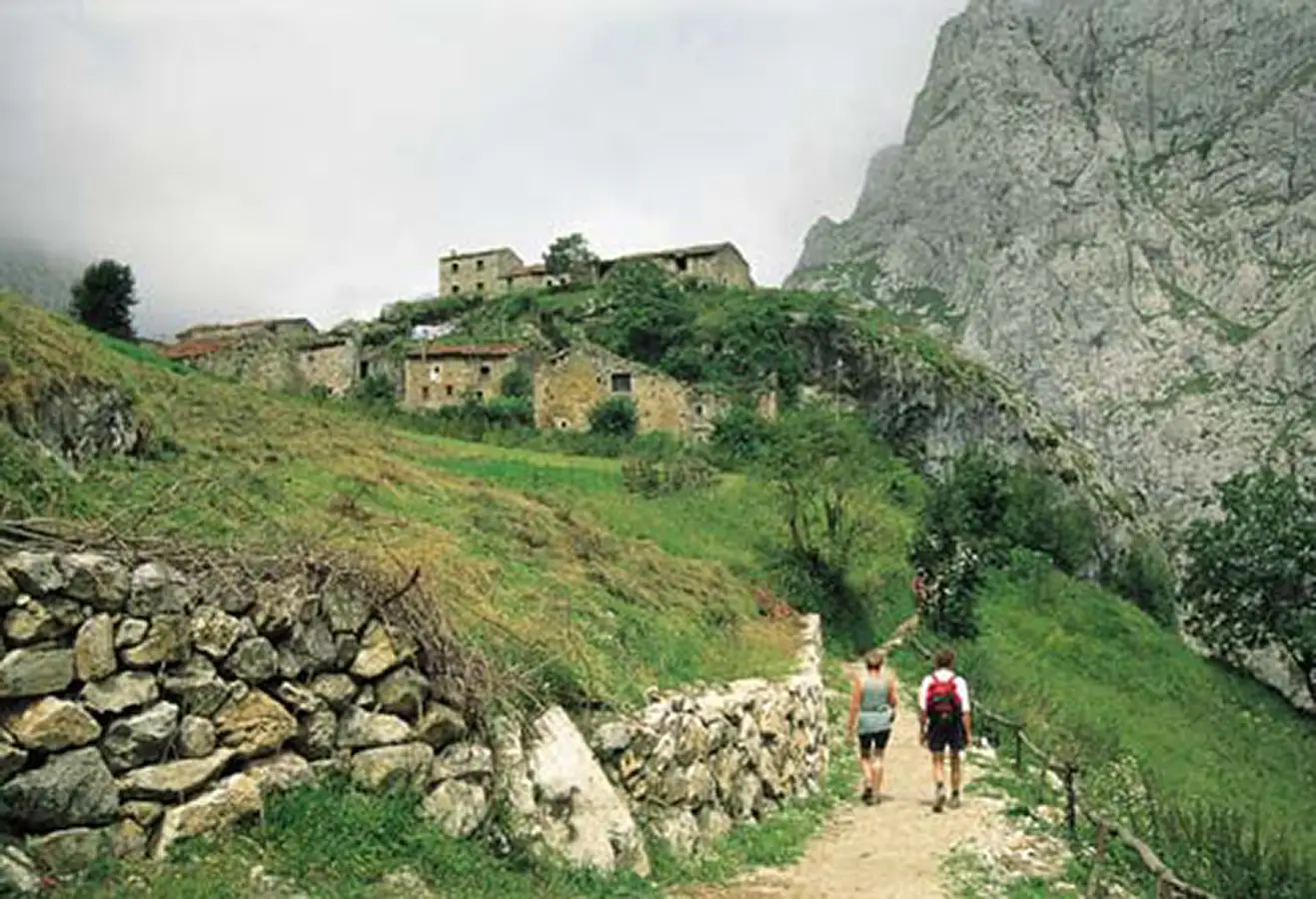 bulnes1