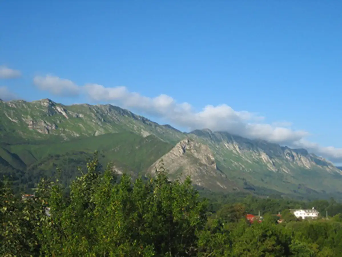cuera