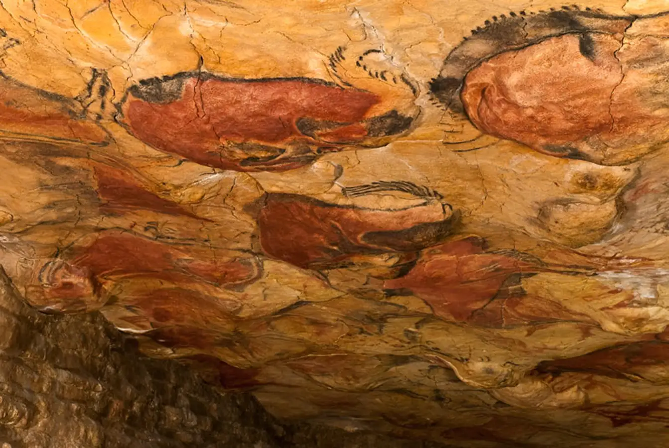 cueva Conjunto Bisontes
