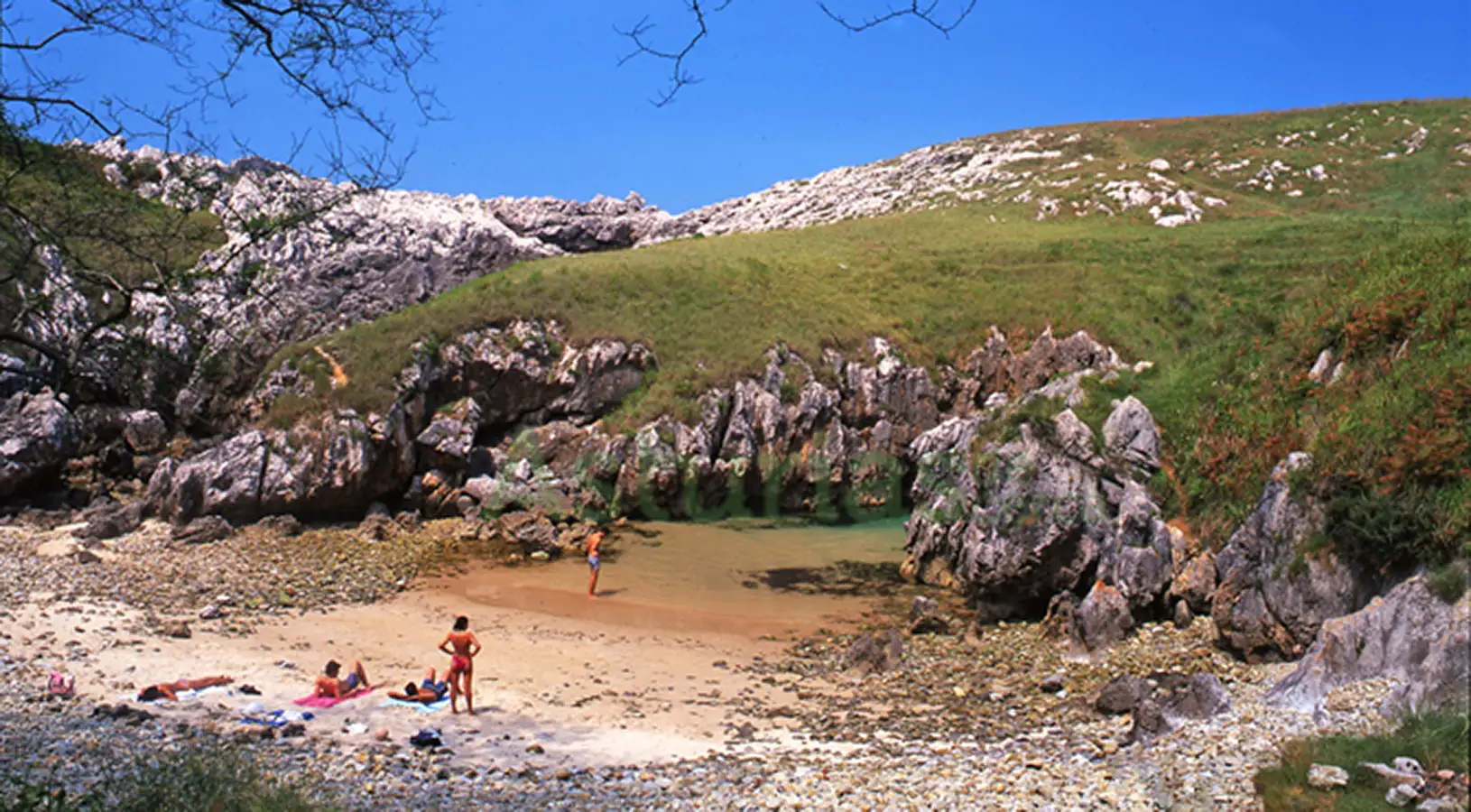 playa cobijeru
